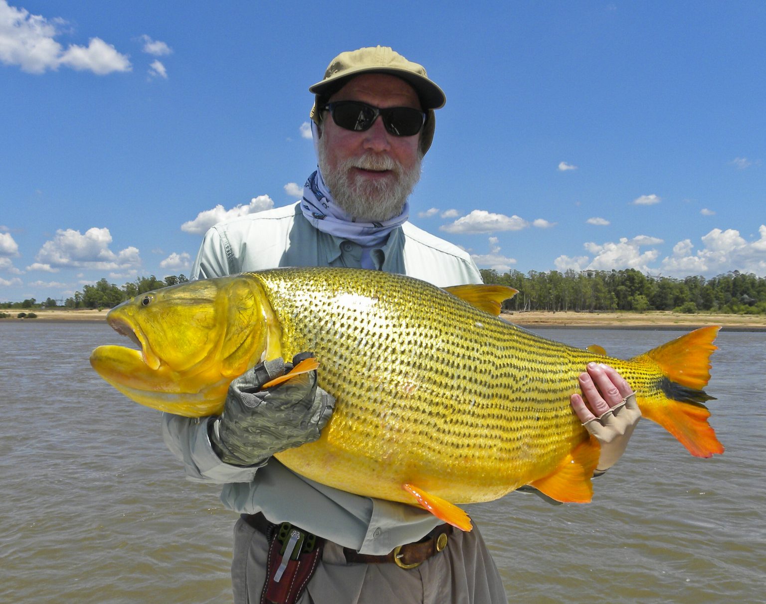 Unparalleled Golden Dorado Fishing In Uruguay – Wes Hixon Outdoor ...